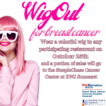 WIG OUT FOR BREAST CANCER posts