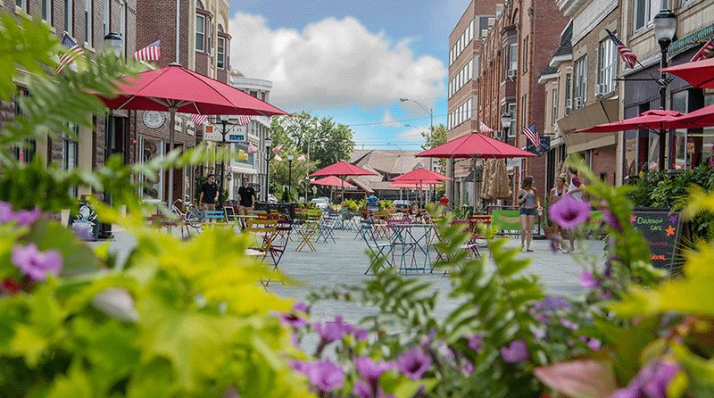 Downtown Somerville is Dog Friendly!