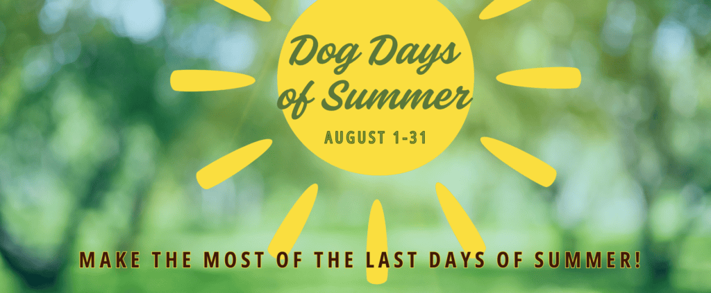 Dog Days of Summer Webpage Banner 1